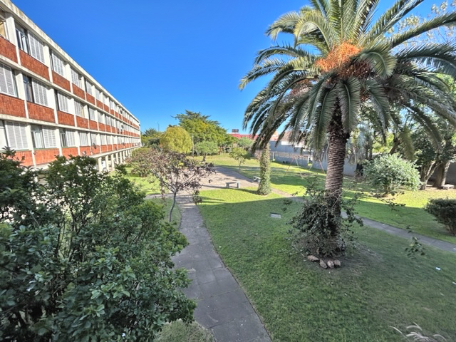 Imagen 10 de la galería