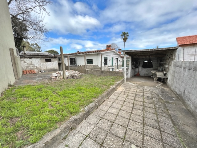 Imagen 9 de la galería