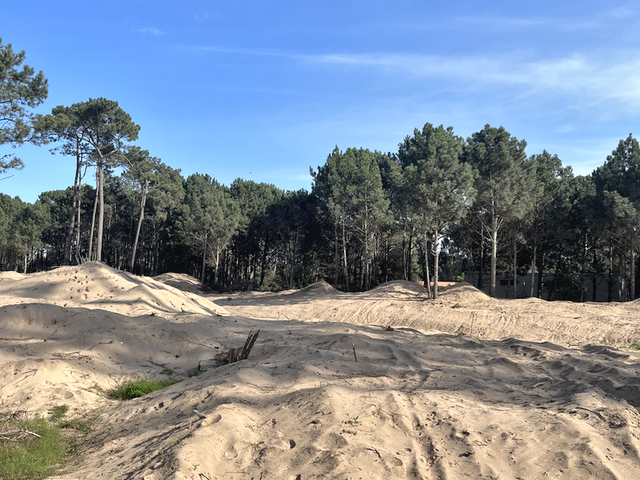 Imagen 2 de la galería