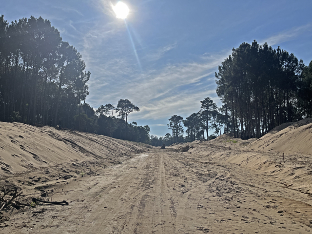 Imagen 3 de la galería