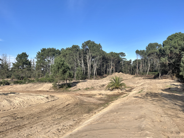 Imagen 4 de la galería