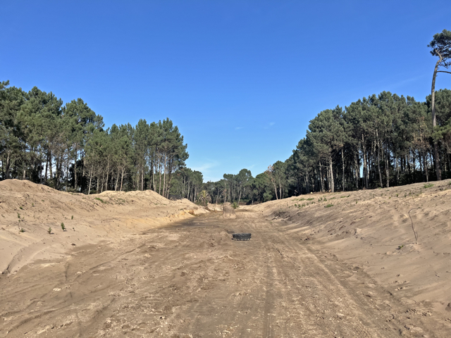 Imagen 1 de la galería