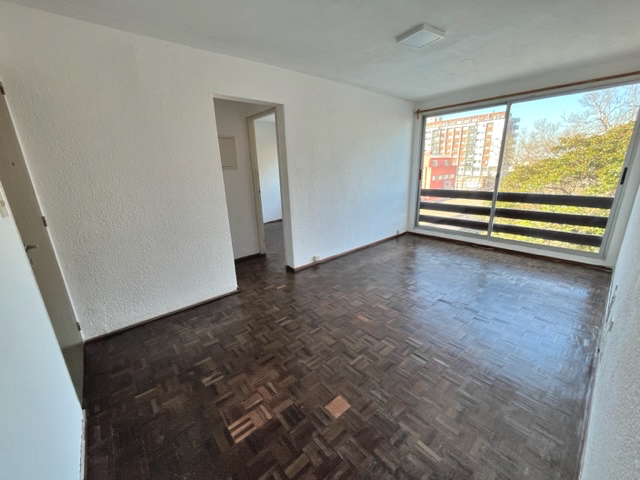 Imagen 4 de la galería