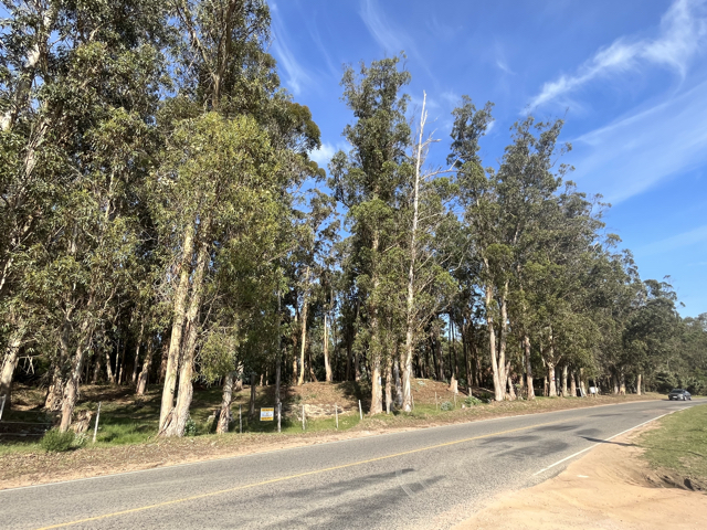 Imagen 1 de la galería