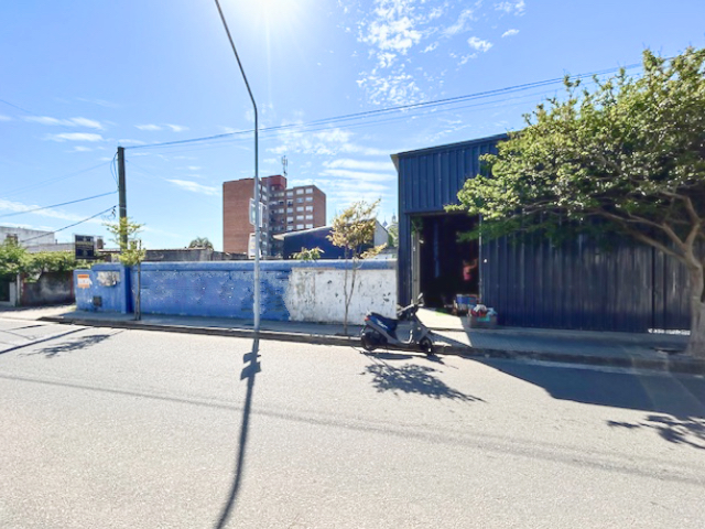 Imagen 2 de la galería