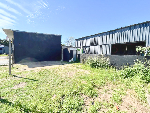 Imagen 3 de la galería