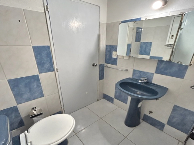 Imagen 6 de la galería