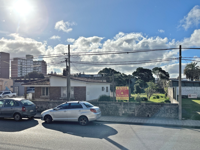 Imagen 2 de la galería