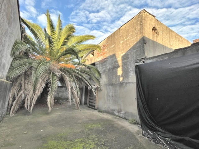 Imagen 4 de la galería