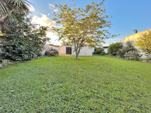 Imagen 2 de la galería