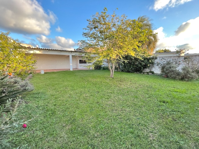 Imagen 3 de la galería