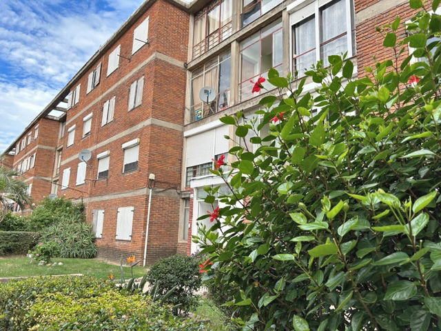 Imagen 1 de la galería