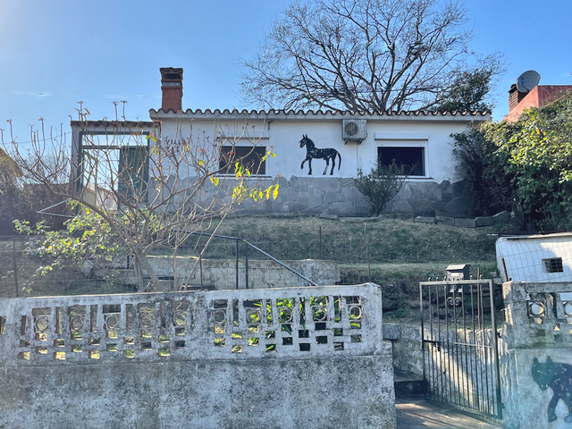 Imagen 1 de la galería