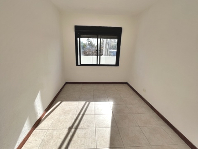 Imagen 8 de la galería