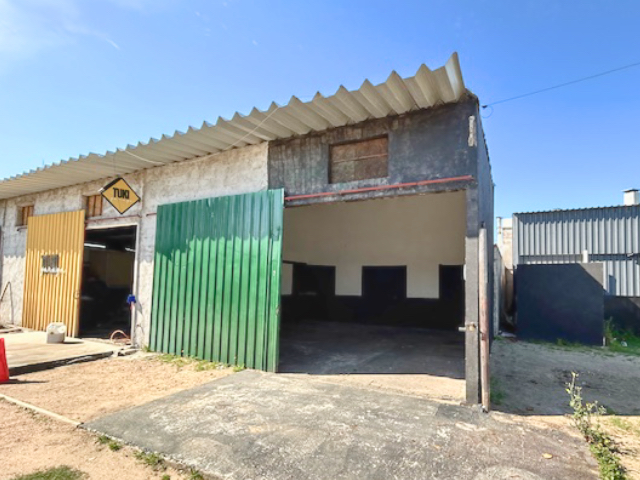 Imagen 2 de la galería