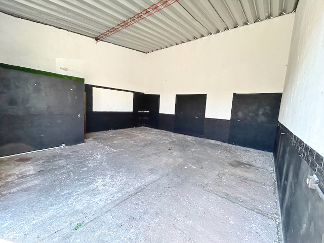 Imagen 3 de la galería