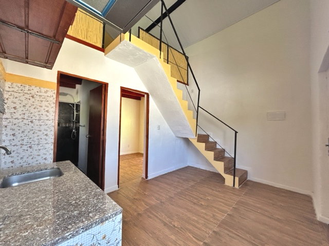 Imagen 3 de la galería