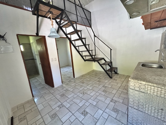 Imagen 4 de la galería