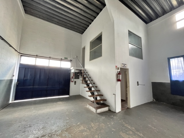 Imagen 6 de la galería