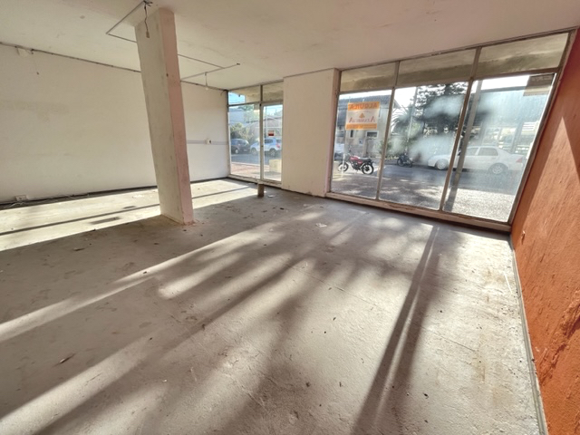 Imagen 4 de la galería