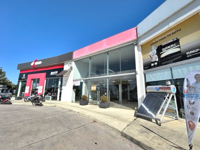 Imagen 1 de la galería