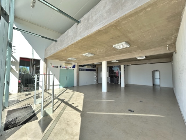 Imagen 4 de la galería