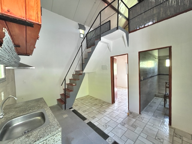 Imagen 3 de la galería