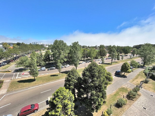 Imagen 8 de la galería