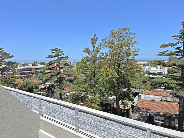 Imagen 3 de la galería