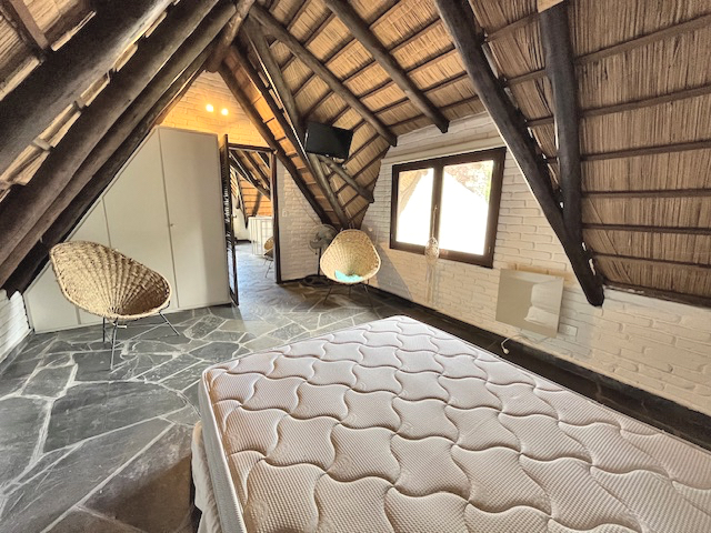 Imagen 17 de la galería