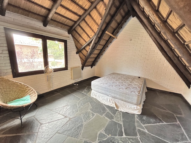 Imagen 18 de la galería