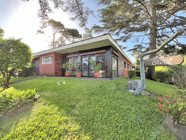 Imagen 1 de la galería