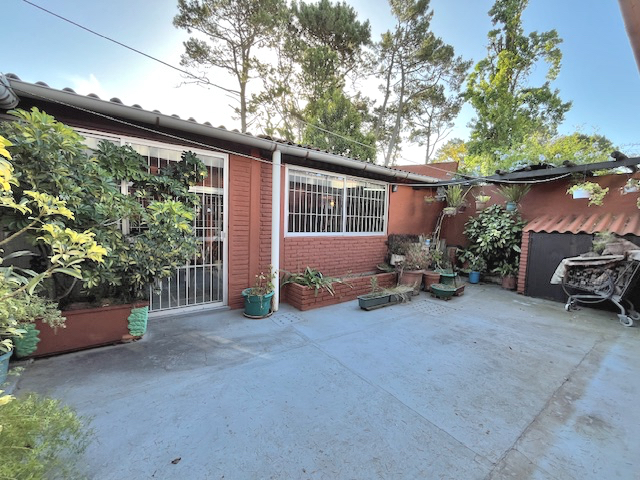 Imagen 15 de la galería