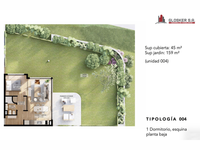 Imagen 6 de la galería