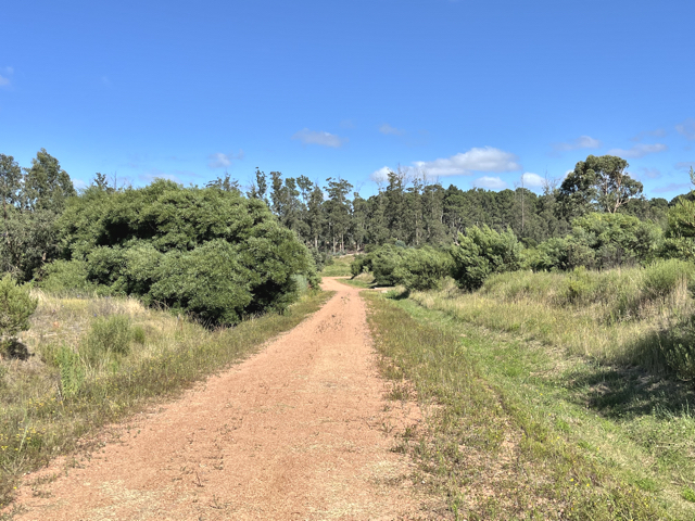 Imagen 2 de la galería