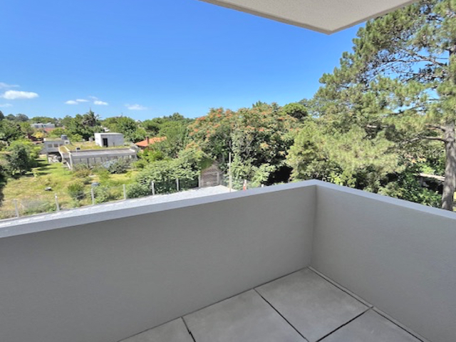 Imagen 8 de la galería