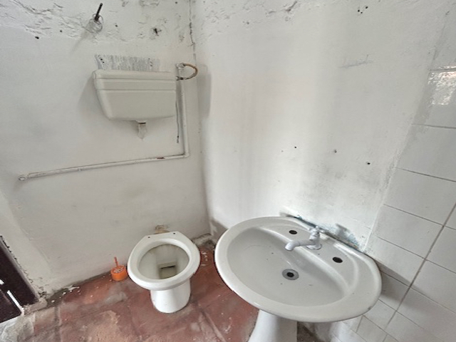 Imagen 6 de la galería