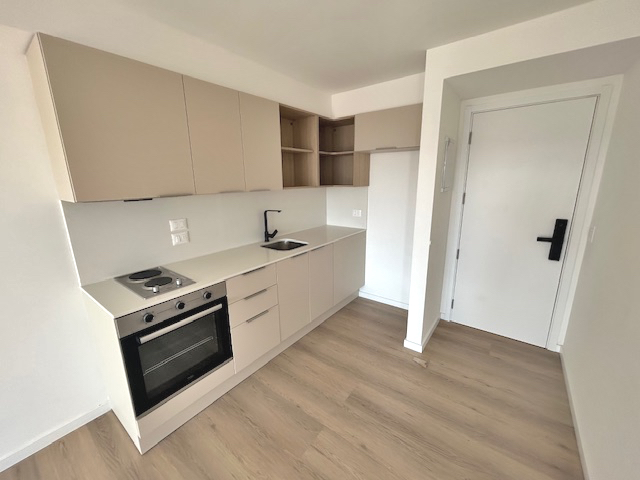 Imagen 11 de la galería