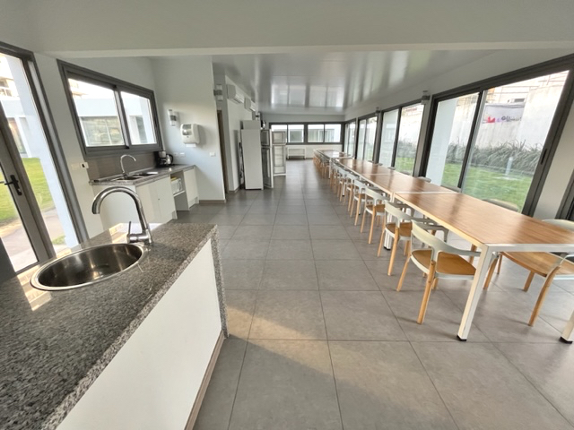 Imagen 13 de la galería