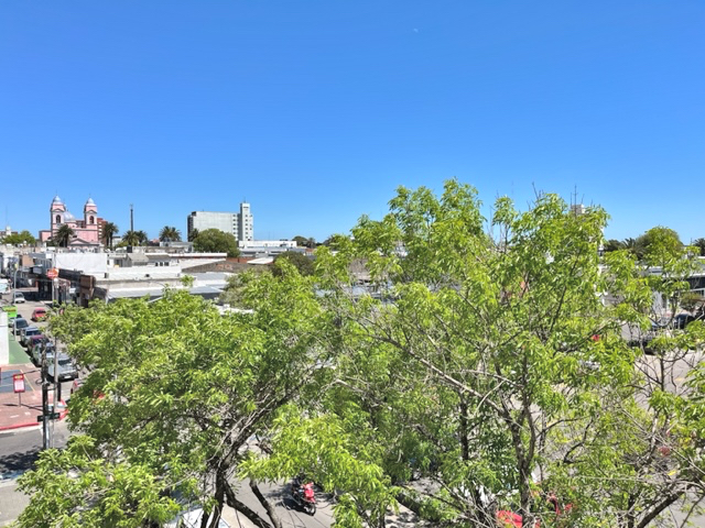 Imagen 13 de la galería