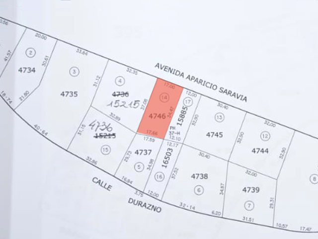 Imagen 1 de la galería