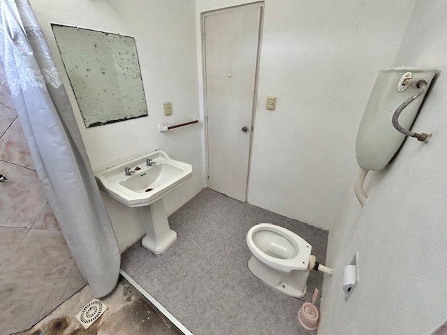 Imagen 7 de la galería