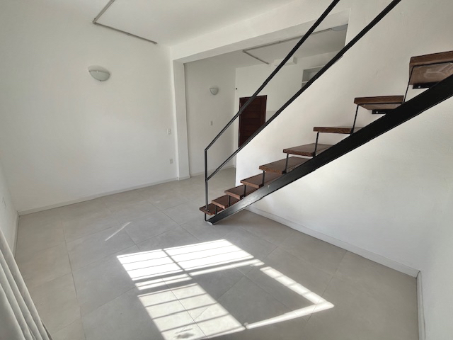 Imagen 4 de la galería