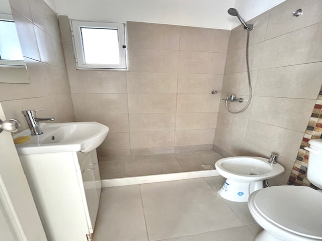 Imagen 7 de la galería