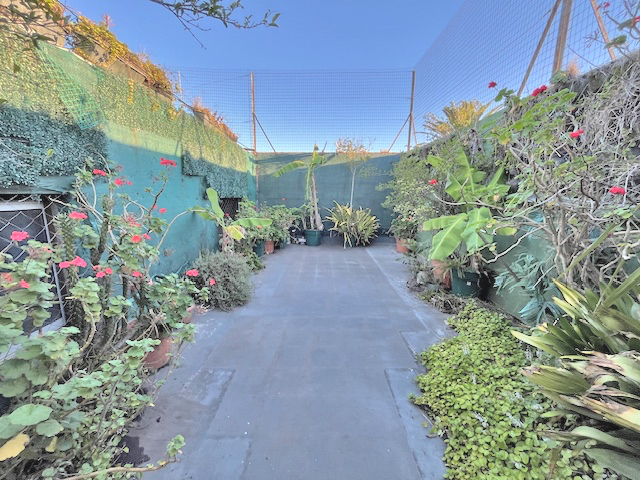 Imagen 7 de la galería