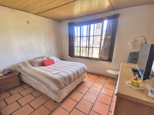 Imagen 7 de la galería