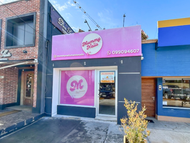 Imagen 1 de la galería