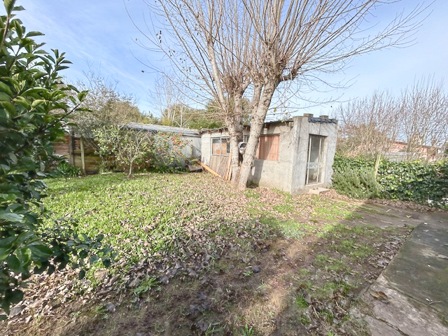 Imagen 9 de la galería