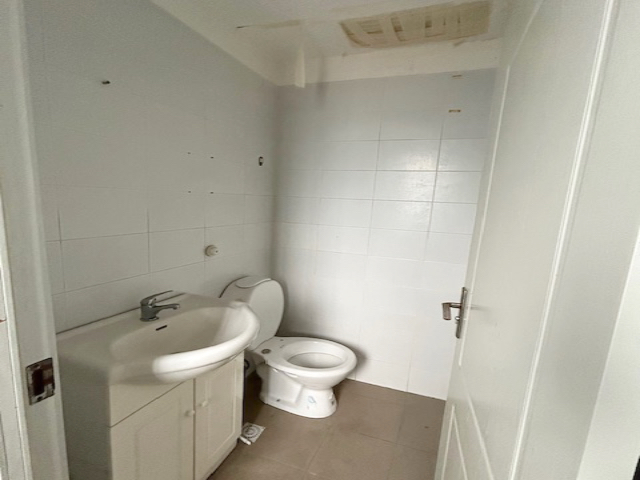 Imagen 7 de la galería