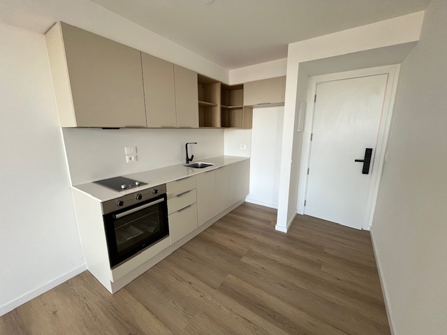 Imagen 2 de la galería